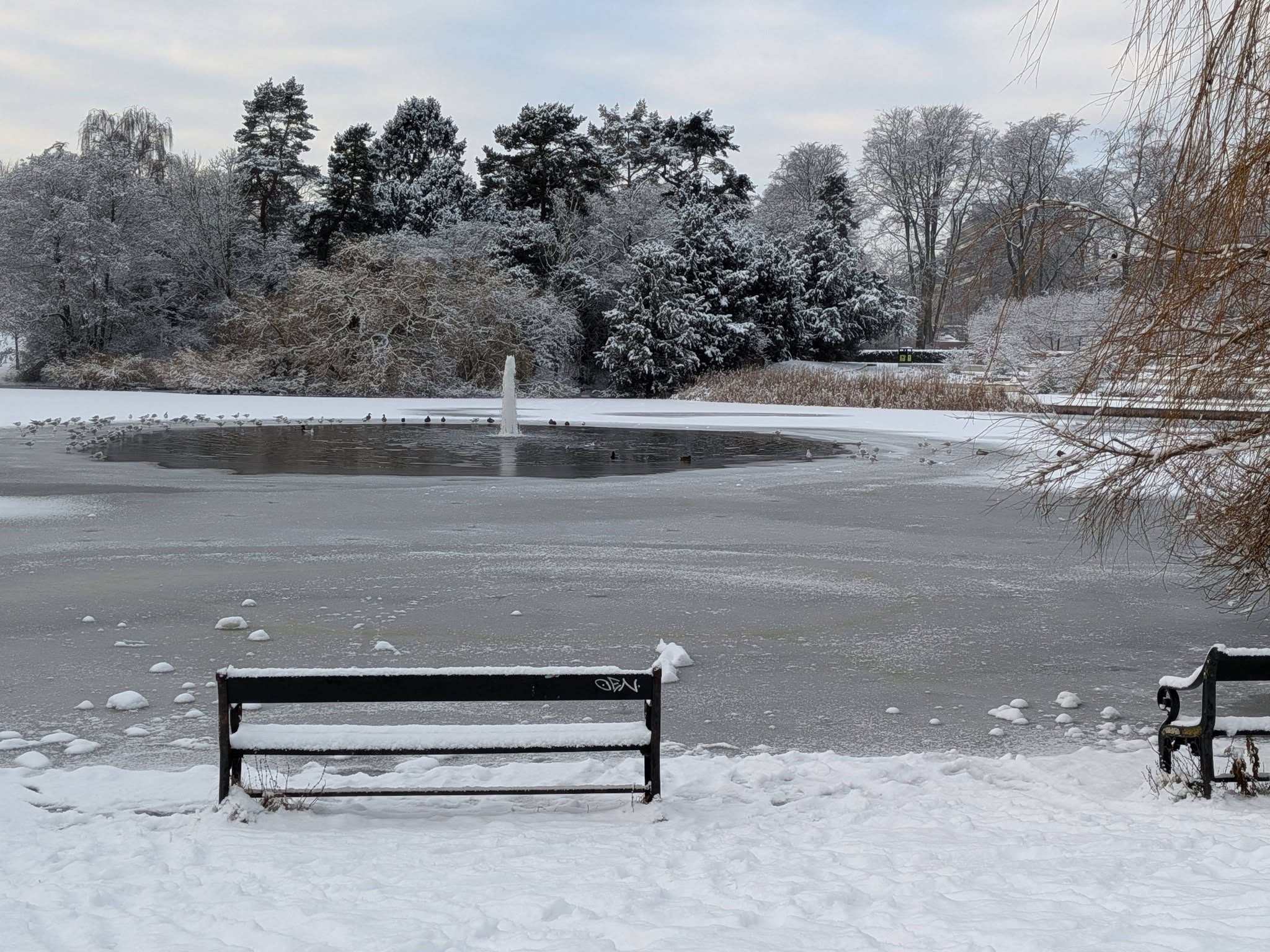 Slotsparken in Lyngby showing a scenic local walking environment